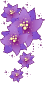 +flower+blossom+purple+flower++ clipart