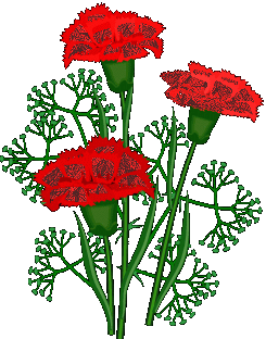 +flower+blossom+red+carnations++ clipart
