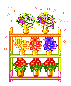 +flower+blossom+shelf+ clipart
