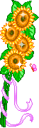 +flower+blossom+sunflowers++ clipart