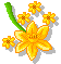 +flower+blossom+yellow+flower++ clipart