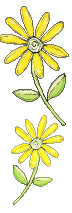 +flower+blossom+yellow+flowers++ clipart