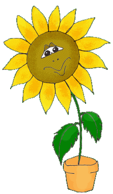 +flower+blossom+yellow+talking+sunflower++ clipart