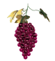 +food+bunch+of+grapes++ clipart
