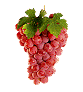 +food+bunch+of+grapes++ clipart