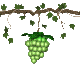 +food+bunch+of+grapes++ clipart