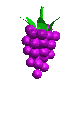 +food+bunch+of+grapes++ clipart