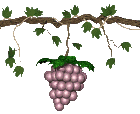+food+bunch+of+red+grapes++ clipart