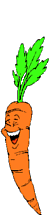 +food+carrot+ clipart