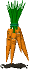 +food+carrots++ clipart