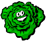+food+lettuce++ clipart