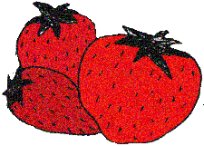 +food+strawberries++ clipart