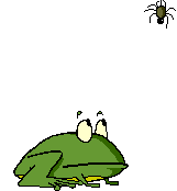 +reptile+animal+frog+catching+spider++ clipart