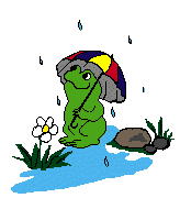 +reptile+animal+frog+under+an+umberella++ clipart