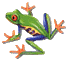+reptile+animal+tree+frog++ clipart