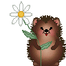 +animal+hedgehog+and+flower++ clipart