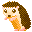 +animal+hedgehog++ clipart