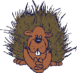 +animal+hedgehog++ clipart