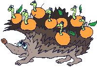+animal+hedgehog++ clipart