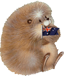 +animal+hedgehog++ clipart