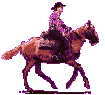 +animal+horse+ clipart