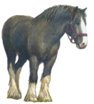 +animal+horse+ clipart