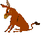 +animal+horse+ clipart