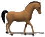 +animal+horse+ clipart