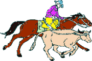 +animal+horse+ clipart