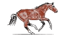 +animal+horse+ clipart