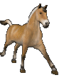 +animal+horse+ clipart