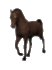 +animal+horse+ clipart