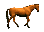 +animal+horse+ clipart
