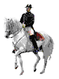 +animal+horse+ clipart