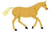 +animal+horse+ clipart
