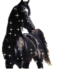 +animal+horse+ clipart