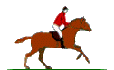 +animal+horse+ clipart