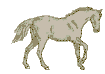 +animal+horse+ clipart