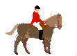 +animal+horse+ clipart