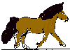 +animal+horse+ clipart