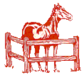 +animal+horse+ clipart