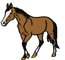 +animal+horse+ clipart
