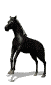 +animal+horse+ clipart