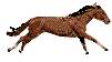 +animal+horse+ clipart