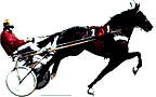 +animal+horse+ clipart