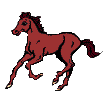 +animal+horse+ clipart