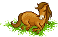 +animal+horse+ clipart