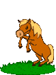 +animal+horse+ clipart