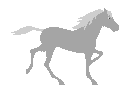 +animal+horse+ clipart