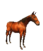 +animal+horse+ clipart